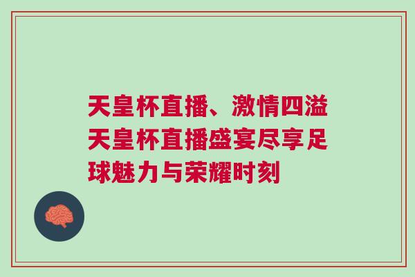 天皇杯直播、激情四溢天皇杯直播盛宴尽享足球魅力与荣耀时刻