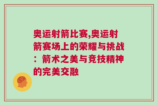 奥运射箭比赛,奥运射箭赛场上的荣耀与挑战：箭术之美与竞技精神的完美交融
