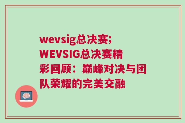 wevsig总决赛;WEVSIG总决赛精彩回顾：巅峰对决与团队荣耀的完美交融