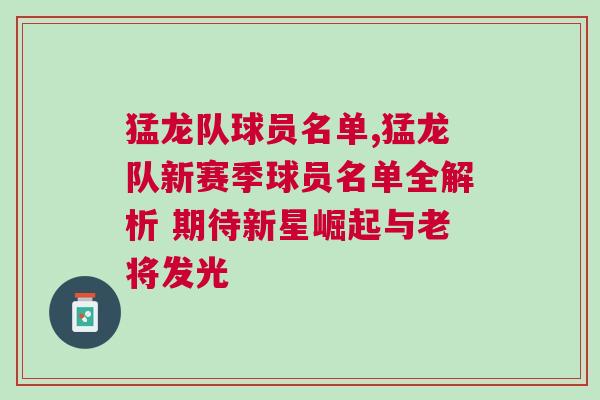 猛龙队球员名单,猛龙队新赛季球员名单全解析 期待新星崛起与老将发光